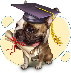 Results-drive in-home dog training in Cuyahoga County and Chagrin Valley, O